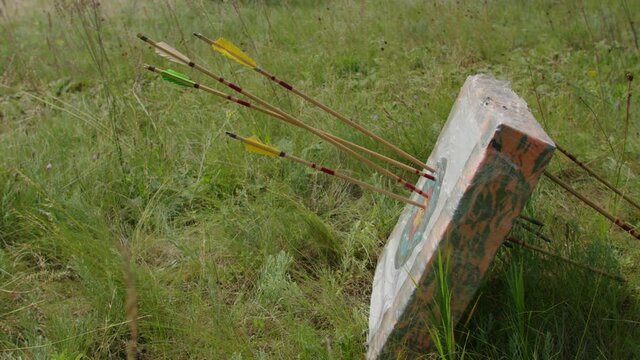 a young guy shoots a bow at a target, in nature, and hits the target, the arrow pierces the target for flight, pulls the bowstring tightly for a shot. 