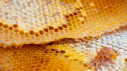 Honeycomb with honey. Selective focus