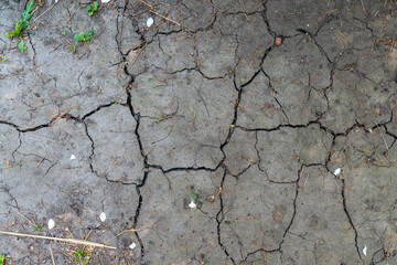 Cracked ground texture with grass pieces