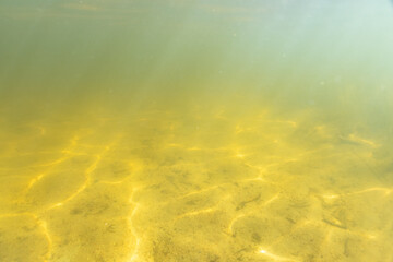 Underwater landscape with  lake water wide angle view summer time, Calm clear fresh water for swimming and snorkeling underwater.Design template with underwater part.
