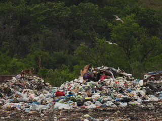 Unsorted trash background. City dump. Landfill. Social problems. Rubbish texture. Pollution of nature. Environmental pollution concept. Garbage background.