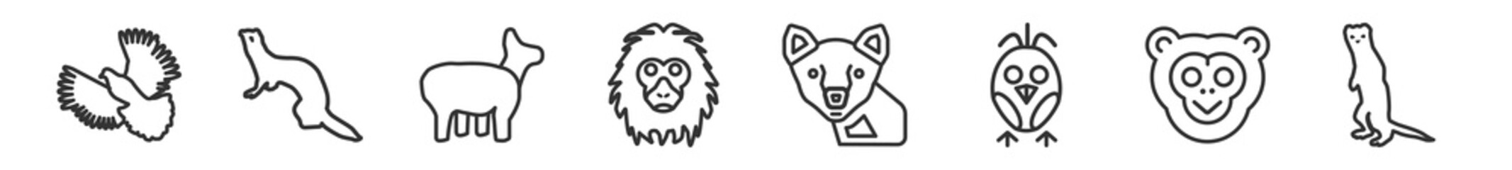 outline set of animals line icons. linear vector icons such as flying dove, polecat, musk, orangutan, marten, ermine. vector illustration.