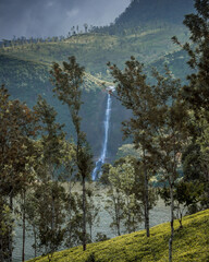 A view of a Waterfall in Sri Lanka through a tea estate.
