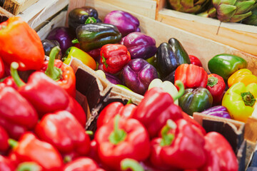Fresh organic bell peppers on market in Paris, France