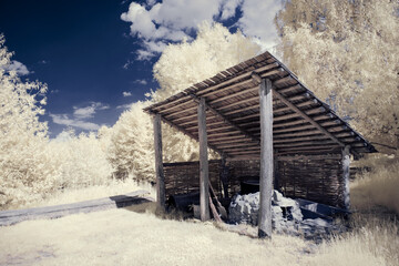 infrared photography - surreal ir photo of landscape with trees under cloudy sky - the art of our...