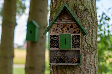 bird house in the forest