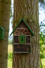 birdhouse on a tree