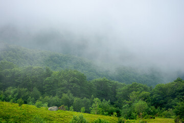 fog and mist above the forest. beautiful morning nature in mountains. landscape with clouds on the sky at sunrise. tranquil wonderland in summer