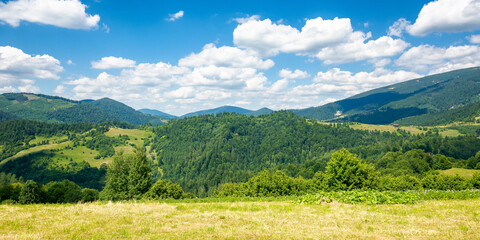 grassy meadow in mountains. wonderful nature landscape. sunny summer day. clouds on the sky