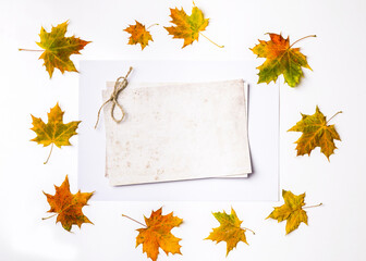 Image with autumn leaves.