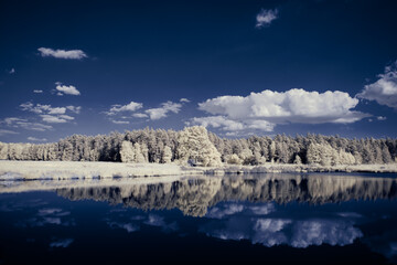 infrared photography - surreal ir photo of landscape with trees under cloudy sky - the art of our...