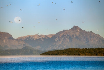 Full moon, lake, mountains and birds scene