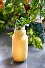 Mango milk smoothie. Fruit shake.