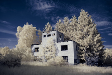 infrared photography - surreal ir photo of landscape with trees under cloudy sky - the art of our...