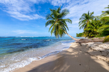 Tropical beach. Peaceful Caribbean beach with palm tree. Bastimentos Island, Bocas del Toro, Central America, Panama.