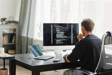 Rear view of computer programmer sitting at the table in front of computer monitor and developing...
