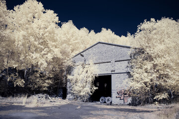 infrared photography - surreal ir photo of landscape with trees under cloudy sky - the art of our...