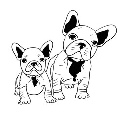 Two bulldogs, father and son