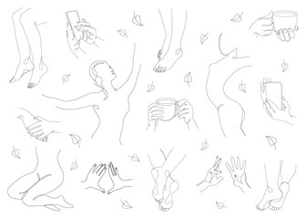 Group. Silhouettes of a figure of a girl and a leaf of a plant in a modern one line style. Continuous line drawing, aesthetic outline for home decor, posters, stickers, logo. Vector illustration set.