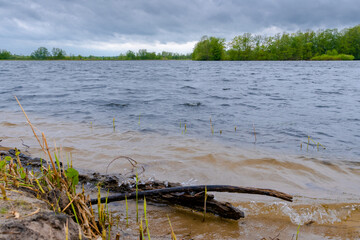 Meißendorfer Teiche/Bannetzer Moor in Niedersachsen, unberührte Natur