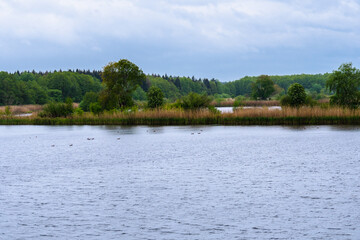 Meißendorfer Teiche/Bannetzer Moor in Niedersachsen, unberührte Natur