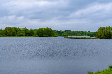 Meißendorfer Teiche/Bannetzer Moor in Niedersachsen, unberührte Natur