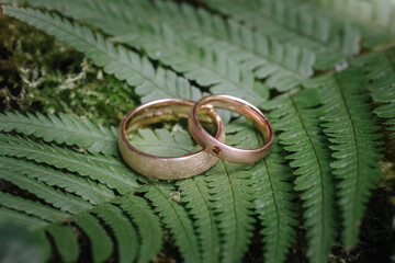Wedding rings macro close up
