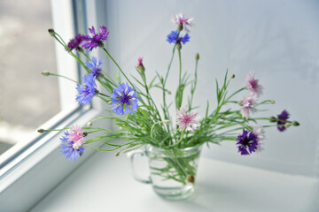 Small flowers stand in a vase on the window