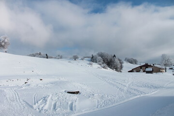 Fototapeta na wymiar Paisaje en la nieve 