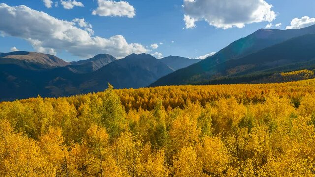 Sunset Golden Valley - A time-lapse video of Autumn sunset view of a dense colorful aspen grove in a mountain valley at base of steep peaks of Sawatch Range. Leadville, Colorado, USA.