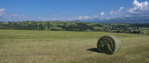 Panorama Tatrzańska  © MagicEarthPlanet