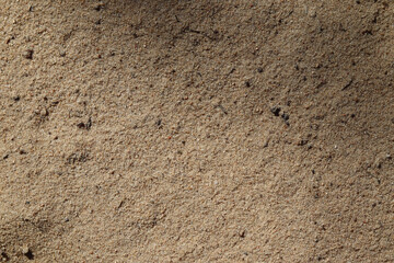 Sand close-up with small grains of sand