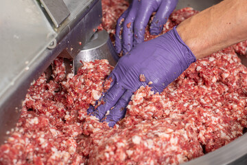 Man with hands mixes minced pork and spices