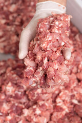Ground pork mince in human hands