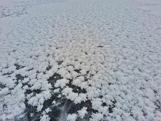 snowflakes on ice background texture mobile photo