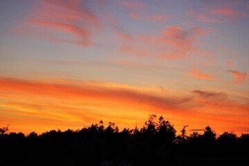 Red sunset over the forest