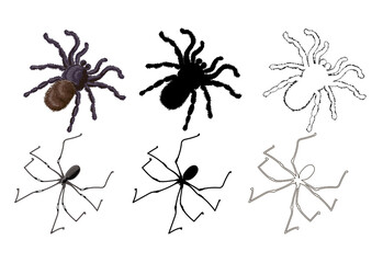 A set of three domestic spiders with thin and long legs and three tarantula spiders - cartoon style, outline and black silhouette. Stock vector illustration isolated on a white background.