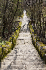 a stone staircase, overgrown with moss, leads down in the park