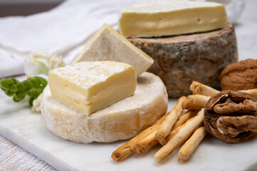 Cheese collection, fresh white soft cow cheese with mold from Swiss and tommette de savoie from France, cheese made in Alpine mountains