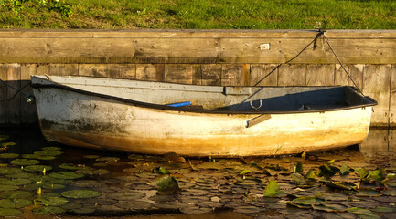 Old weathered rowing boat moored against a wooden jetty in evening sunshine. Water lilies (Nuphar lutea) in foreground. Reflections in water. Landscape image with space for text. Norfolk, England. - 440649903
