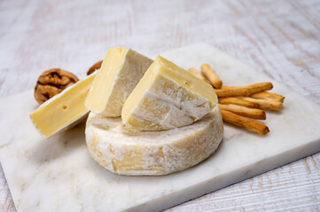 Cheese collection, fresh white soft cow cheese with mold from Swiss