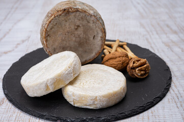 Fototapeta na wymiar Cheese collection, fresh white soft cow cheese with mold from Swiss and tommette de savoie from France, cheese made in Alpine mountains