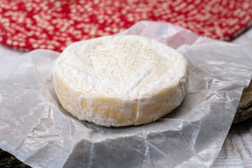Cheese collection, fresh white soft cow cheese with mold from Swiss