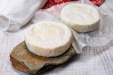 Cheese collection, fresh white soft cow cheese with mold from Swiss