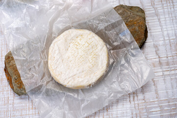 Cheese collection, fresh white soft cow cheese with mold from Swiss