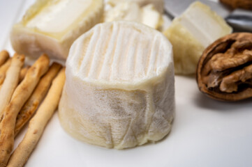 Cheese collection, soft goat French cheese with mold crottin de Chavignol produced in Loire Valley