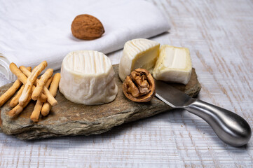 Cheese collection, soft goat French cheese with mold crottin de Chavignol produced in Loire Valley