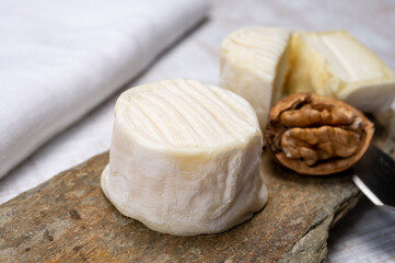 Cheese collection, soft goat French cheese with mold crottin de Chavignol produced in Loire Valley