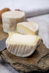 Cheese collection, soft goat French cheese with mold crottin de Chavignol produced in Loire Valley