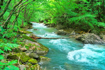 山奥の渓流イメージ